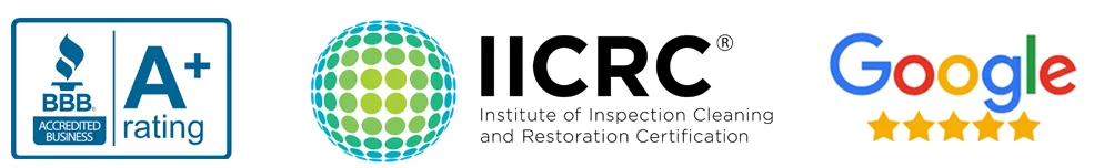 BBB A Plus Rated, IICRC Certified, 80 Plus Google 5 Star Reviews 