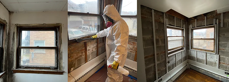 Mold Remediation